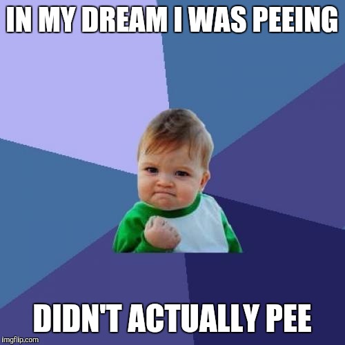 Success Kid Meme | IN MY DREAM I WAS PEEING; DIDN'T ACTUALLY PEE | image tagged in memes,success kid,AdviceAnimals | made w/ Imgflip meme maker