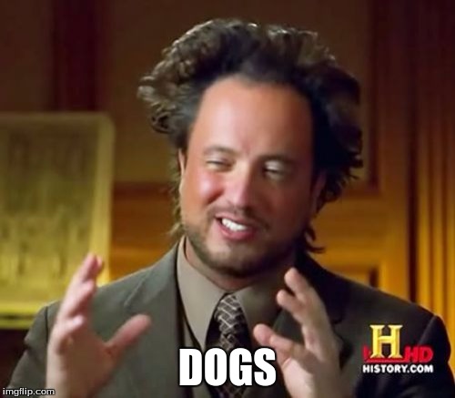 Ancient Aliens Meme | DOGS | image tagged in memes,ancient aliens | made w/ Imgflip meme maker