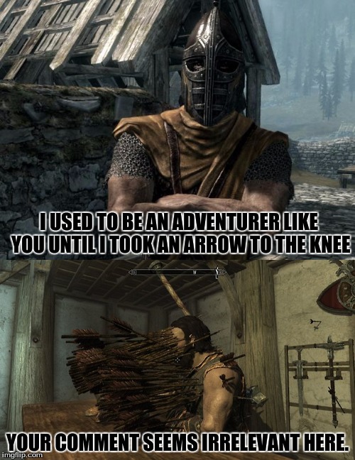 Guards Need to Toughen Up | I USED TO BE AN ADVENTURER LIKE YOU UNTIL I TOOK AN ARROW TO THE KNEE; YOUR COMMENT SEEMS IRRELEVANT HERE. | image tagged in memes,skyrim,skyrim guard,arrow to the knee,irrelevant comment | made w/ Imgflip meme maker
