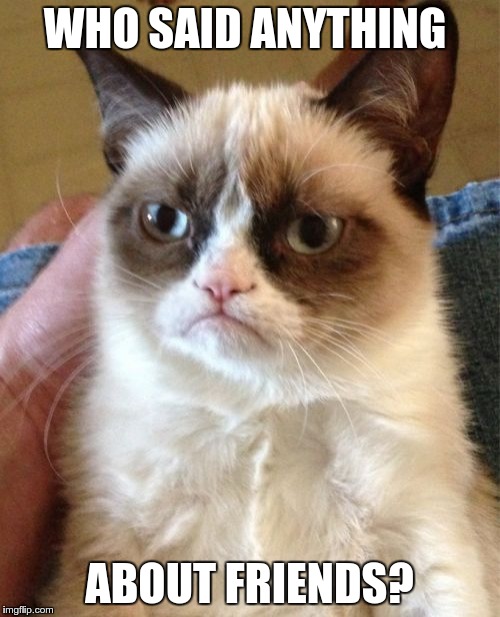Grumpy Cat Meme | WHO SAID ANYTHING ABOUT FRIENDS? | image tagged in memes,grumpy cat | made w/ Imgflip meme maker