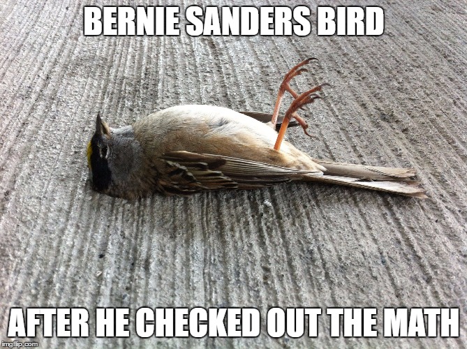 Birdie Sanders | BERNIE SANDERS BIRD; AFTER HE CHECKED OUT THE MATH | image tagged in old man bernie | made w/ Imgflip meme maker