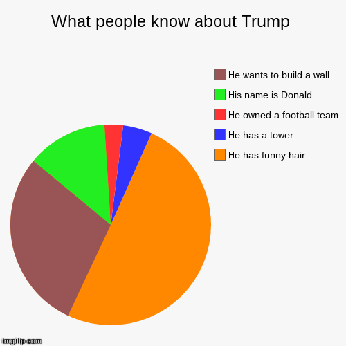 Trump pie chart | image tagged in funny,pie charts,trump | made w/ Imgflip chart maker
