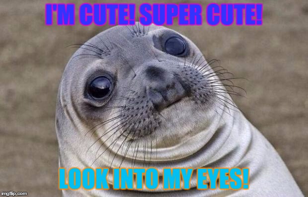 Awkward Moment Sealion | I'M CUTE! SUPER CUTE! LOOK INTO MY EYES! | image tagged in memes,awkward moment sealion | made w/ Imgflip meme maker