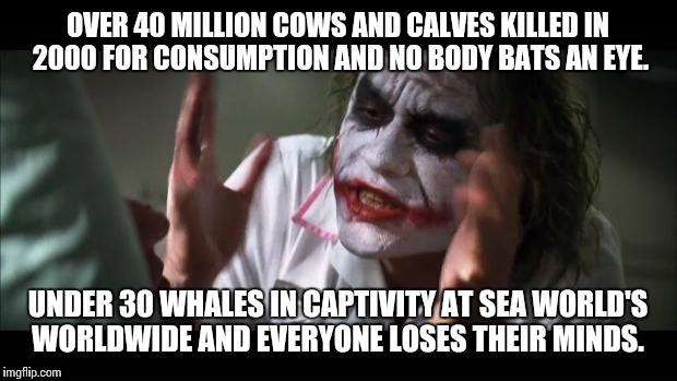 And everybody loses their minds | OVER 40 MILLION COWS AND CALVES KILLED IN 2000 FOR CONSUMPTION AND NO BODY BATS AN EYE. UNDER 30 WHALES IN CAPTIVITY AT SEA WORLD'S WORLDWIDE AND EVERYONE LOSES THEIR MINDS. | image tagged in memes,and everybody loses their minds | made w/ Imgflip meme maker