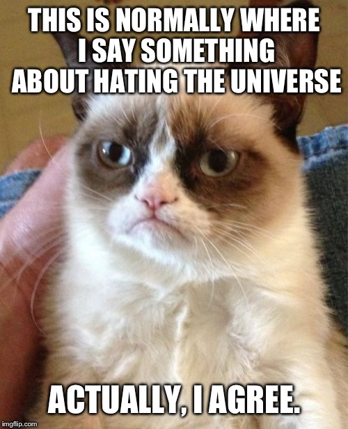 Grumpy Cat Meme | THIS IS NORMALLY WHERE I SAY SOMETHING ABOUT HATING THE UNIVERSE ACTUALLY, I AGREE. | image tagged in memes,grumpy cat | made w/ Imgflip meme maker