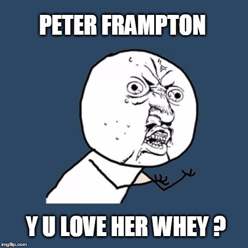 Every day... |  PETER FRAMPTON; Y U LOVE HER WHEY ? | image tagged in memes,y u no,peter frampton,socrates | made w/ Imgflip meme maker