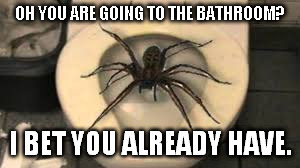 OH YOU ARE GOING TO THE BATHROOM? I BET YOU ALREADY HAVE. | image tagged in spider toilet | made w/ Imgflip meme maker