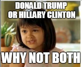 The Answer to World Peace | DONALD TRUMP OR HILLARY CLINTON; WHY NOT BOTH | image tagged in why not both,donald trump,hillary clinton,politics,memes | made w/ Imgflip meme maker