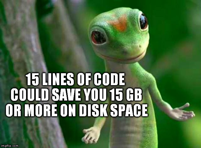 Gecko | 15 LINES OF CODE COULD SAVE YOU 15 GB OR MORE ON DISK SPACE | image tagged in gecko | made w/ Imgflip meme maker