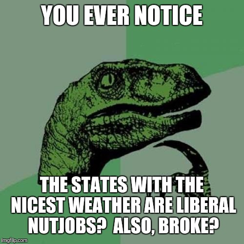 Philosoraptor Meme | YOU EVER NOTICE; THE STATES WITH THE NICEST WEATHER ARE LIBERAL NUTJOBS?  ALSO, BROKE? | image tagged in memes,philosoraptor | made w/ Imgflip meme maker