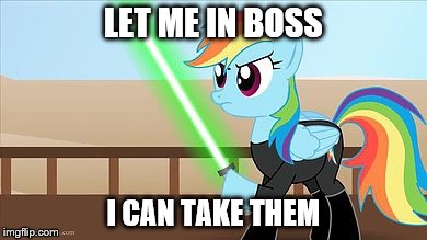 LET ME IN BOSS I CAN TAKE THEM | image tagged in rainbow dash jedi | made w/ Imgflip meme maker