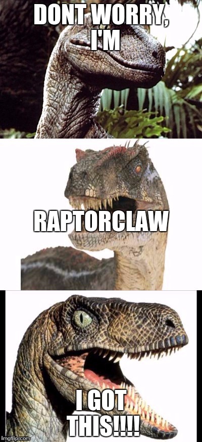 RaptorClaw | DONT WORRY,  I'M; RAPTORCLAW; I GOT THIS!!!! | image tagged in raptorclaw | made w/ Imgflip meme maker