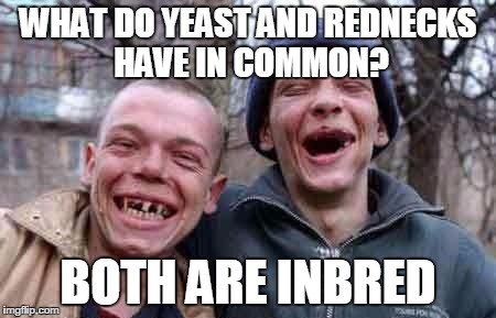 rednecks | WHAT DO YEAST AND REDNECKS HAVE IN COMMON? BOTH ARE INBRED | image tagged in rednecks | made w/ Imgflip meme maker