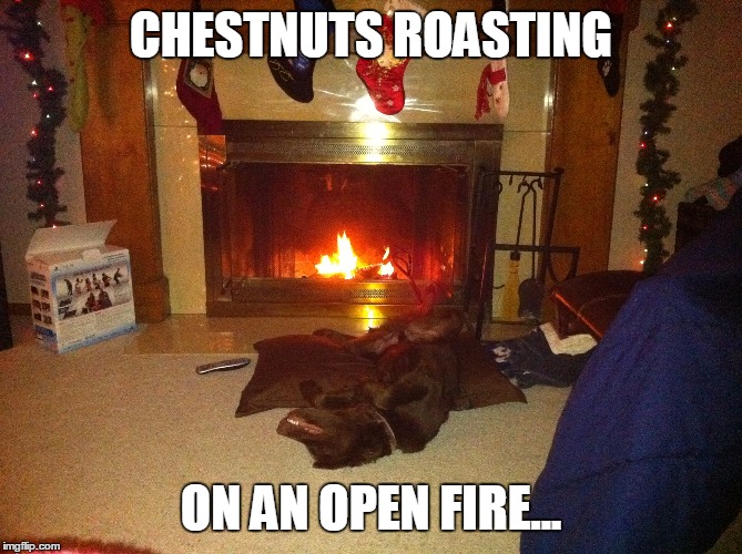 CHESTNUTS ROASTING; ON AN OPEN FIRE... | made w/ Imgflip meme maker
