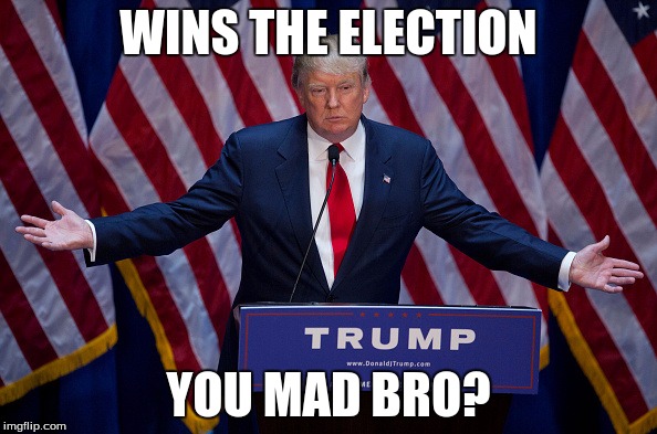 Trump Bruh | WINS THE ELECTION; YOU MAD BRO? | image tagged in trump bruh | made w/ Imgflip meme maker