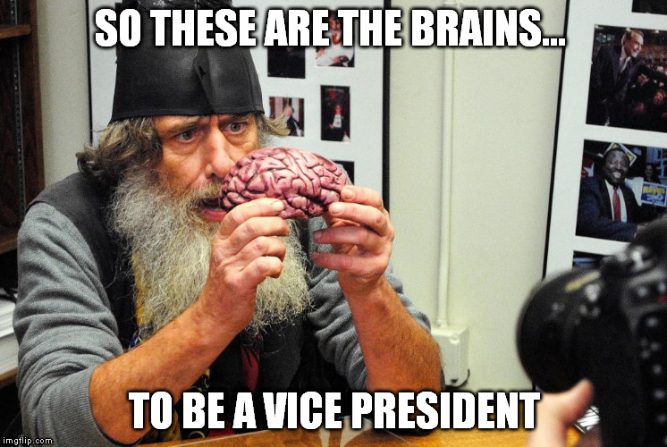 SO THESE ARE THE BRAINS... TO BE A VICE PRESIDENT | made w/ Imgflip meme maker