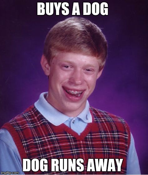 Bad Luck Brian | BUYS A DOG; DOG RUNS AWAY | image tagged in memes,bad luck brian | made w/ Imgflip meme maker