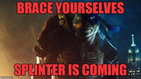 Ninja Turtles Warning | BRACE YOURSELVES; SPLINTER IS COMING | image tagged in ninja turtles,winter is coming,brace yourselves | made w/ Imgflip meme maker