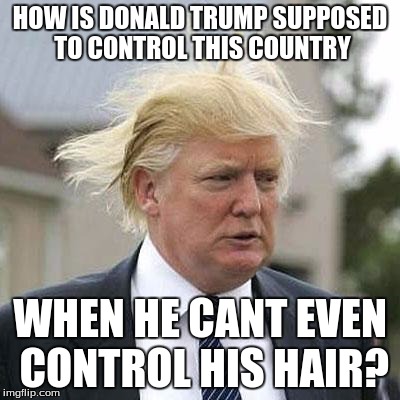Donald Trump | HOW IS DONALD TRUMP SUPPOSED TO CONTROL THIS COUNTRY; WHEN HE CANT EVEN CONTROL HIS HAIR? | image tagged in donald trump | made w/ Imgflip meme maker