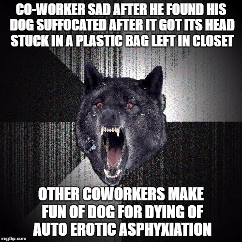 Insanity Wolf Meme | CO-WORKER SAD AFTER HE FOUND HIS DOG SUFFOCATED AFTER IT GOT ITS HEAD STUCK IN A PLASTIC BAG LEFT IN CLOSET; OTHER COWORKERS MAKE FUN OF DOG FOR DYING OF AUTO EROTIC ASPHYXIATION | image tagged in memes,insanity wolf,AdviceAnimals | made w/ Imgflip meme maker