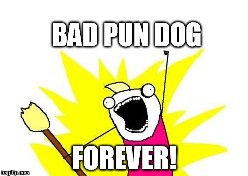 X All The Y Meme | BAD PUN DOG FOREVER! | image tagged in memes,x all the y | made w/ Imgflip meme maker