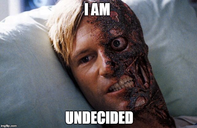I AM UNDECIDED | made w/ Imgflip meme maker