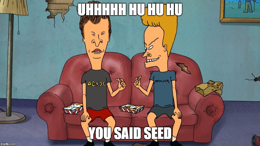 Beavis Butthead | UHHHHH HU HU HU YOU SAID SEED | image tagged in beavis butthead | made w/ Imgflip meme maker