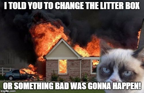 Burn Kitty | I TOLD YOU TO CHANGE THE LITTER BOX; OR SOMETHING BAD WAS GONNA HAPPEN! | image tagged in memes,burn kitty | made w/ Imgflip meme maker