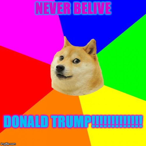 Advice Doge | NEVER BELIVE; DONALD TRUMP!!!!!!!!!!!!! | image tagged in memes,advice doge | made w/ Imgflip meme maker