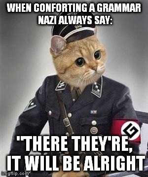 Grammar Nazi Cat | WHEN CONFORTING A GRAMMAR NAZI ALWAYS SAY:; "THERE THEY'RE, IT WILL BE ALRIGHT | image tagged in grammar nazi cat,nazi | made w/ Imgflip meme maker