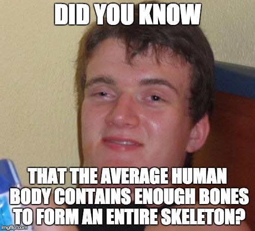 10 Guy Meme | DID YOU KNOW; THAT THE AVERAGE HUMAN BODY CONTAINS ENOUGH BONES TO FORM AN ENTIRE SKELETON? | image tagged in memes,10 guy | made w/ Imgflip meme maker
