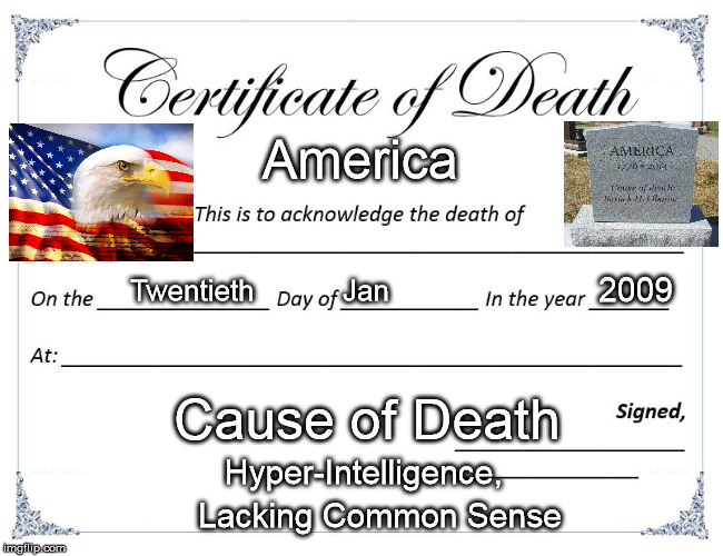 America; 2009; Twentieth           Jan; Cause of Death; Hyper-Intelligence, Lacking Common Sense | image tagged in rip peace | made w/ Imgflip meme maker