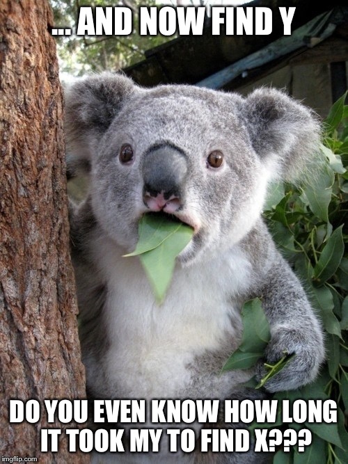 Surprised Koala | ... AND NOW FIND Y; DO YOU EVEN KNOW HOW LONG IT TOOK MY TO FIND X??? | image tagged in memes,surprised coala | made w/ Imgflip meme maker