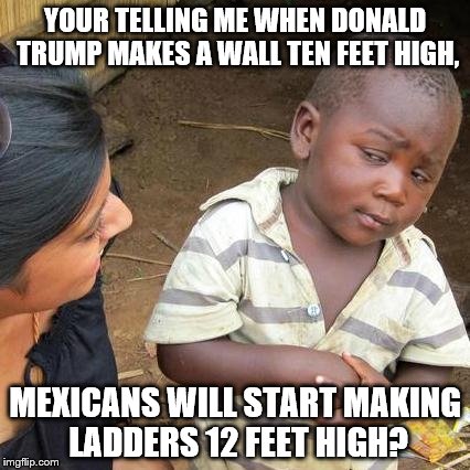 Third World Skeptical Kid Meme | YOUR TELLING ME WHEN DONALD TRUMP MAKES A WALL TEN FEET HIGH, MEXICANS WILL START MAKING LADDERS 12 FEET HIGH? | image tagged in memes,third world skeptical kid | made w/ Imgflip meme maker