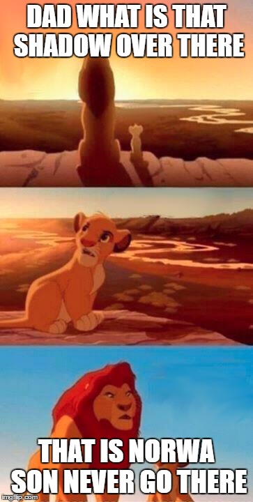 Lion King | DAD WHAT IS THAT SHADOW OVER THERE; THAT IS NORWA SON NEVER GO THERE | image tagged in lion king | made w/ Imgflip meme maker