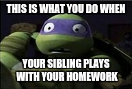 This happened to me last week | THIS IS WHAT YOU DO WHEN; YOUR SIBLING PLAYS WITH YOUR HOMEWORK | image tagged in donnie | made w/ Imgflip meme maker