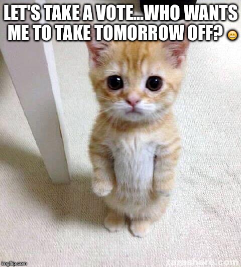 Cute Cat | LET'S TAKE A VOTE...WHO WANTS ME TO TAKE TOMORROW OFF? 😁 | image tagged in memes,cute cat | made w/ Imgflip meme maker