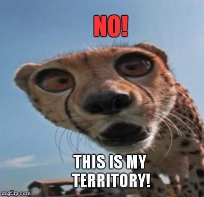 NO! THIS IS MY TERRITORY! | made w/ Imgflip meme maker