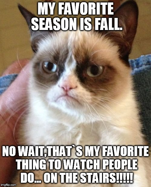 Grumpy Cat |  MY FAVORITE SEASON IS FALL. NO WAIT,THAT`S MY FAVORITE THING TO WATCH PEOPLE DO... ON THE STAIRS!!!!! | image tagged in memes,grumpy cat | made w/ Imgflip meme maker