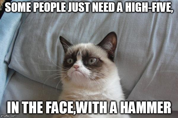 Grumpy Cat Bed |  SOME PEOPLE JUST NEED A HIGH-FIVE, IN THE FACE,WITH A HAMMER | image tagged in memes,grumpy cat bed,grumpy cat | made w/ Imgflip meme maker