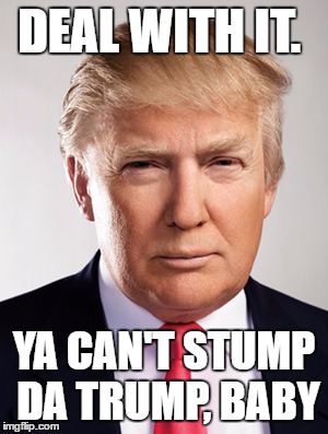Donald Trump | DEAL WITH IT. YA CAN'T STUMP DA TRUMP, BABY | image tagged in donald trump | made w/ Imgflip meme maker