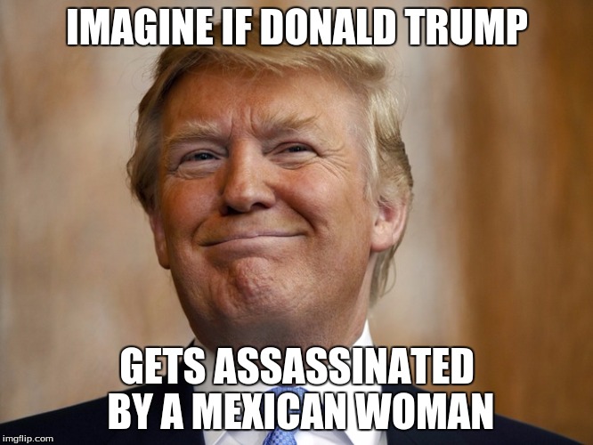 IMAGINE IF DONALD TRUMP; GETS ASSASSINATED BY A MEXICAN WOMAN | image tagged in political memes | made w/ Imgflip meme maker