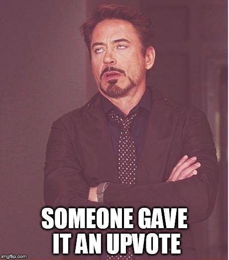 Face You Make Robert Downey Jr Meme | SOMEONE GAVE IT AN UPVOTE | image tagged in memes,face you make robert downey jr | made w/ Imgflip meme maker