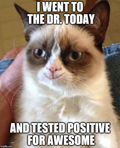 Awesome Cat | I WENT TO THE DR. TODAY; AND TESTED POSITIVE FOR AWESOME | image tagged in awesome cat | made w/ Imgflip meme maker