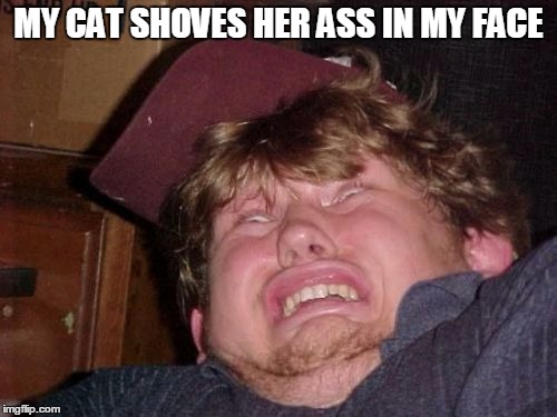 WTF Meme | MY CAT SHOVES HER ASS IN MY FACE | image tagged in memes,wtf | made w/ Imgflip meme maker