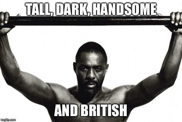 Idris Elba | TALL, DARK, HANDSOME; AND BRITISH | image tagged in idris elba | made w/ Imgflip meme maker