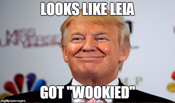 LOOKS LIKE LEIA GOT "WOOKIED" | made w/ Imgflip meme maker