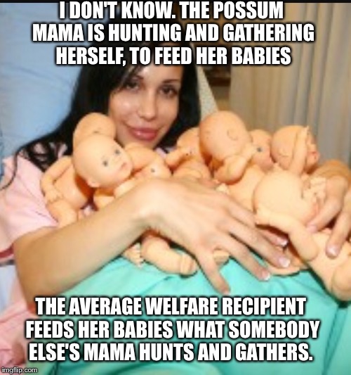 I DON'T KNOW. THE POSSUM MAMA IS HUNTING AND GATHERING HERSELF, TO FEED HER BABIES THE AVERAGE WELFARE RECIPIENT FEEDS HER BABIES WHAT SOMEB | made w/ Imgflip meme maker