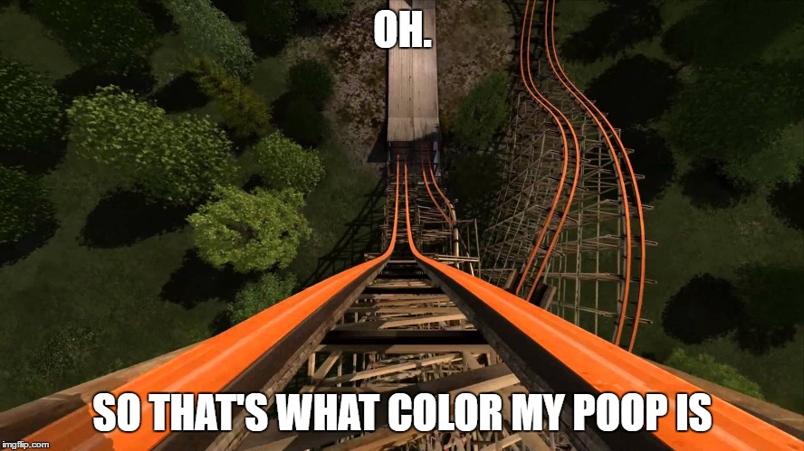 roller coaster | OH. SO THAT'S WHAT COLOR MY POOP IS | image tagged in roller coaster | made w/ Imgflip meme maker