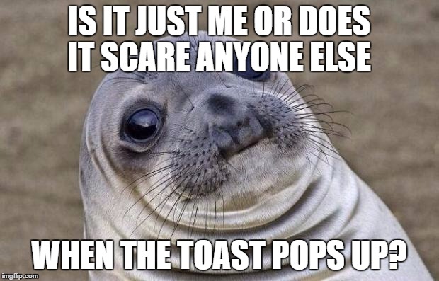 Awkward Moment Sealion Meme | IS IT JUST ME OR DOES IT SCARE ANYONE ELSE; WHEN THE TOAST POPS UP? | image tagged in memes,awkward moment sealion | made w/ Imgflip meme maker